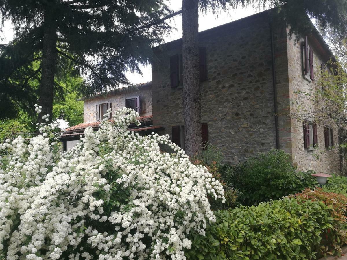 Villa Tacco Quarata エクステリア 写真